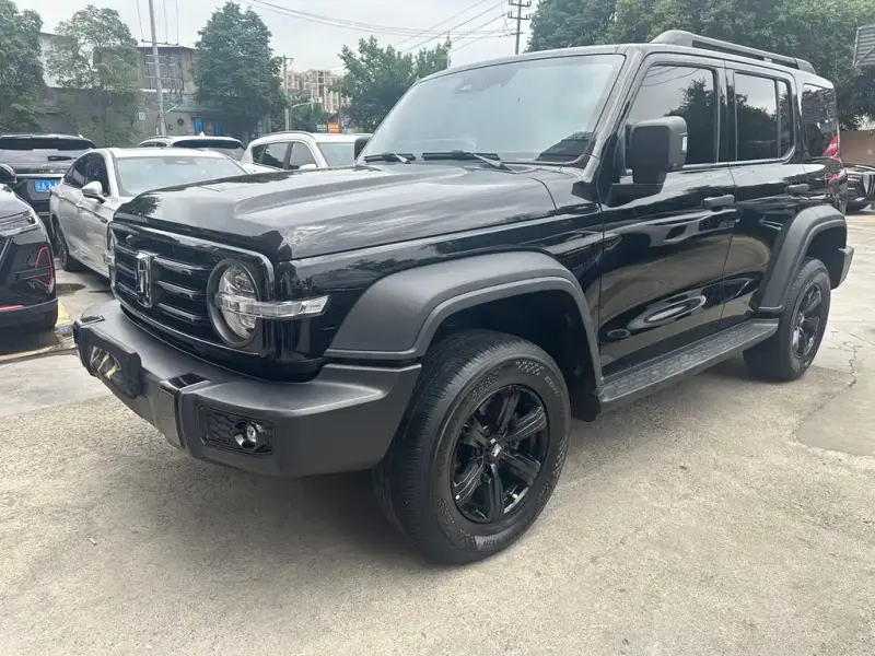 Tank 300