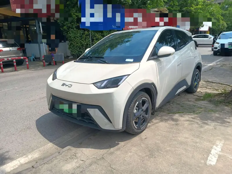 BYD Seagull