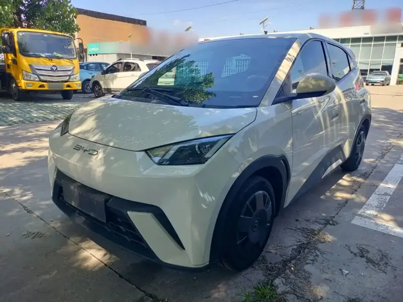 BYD Seagull
