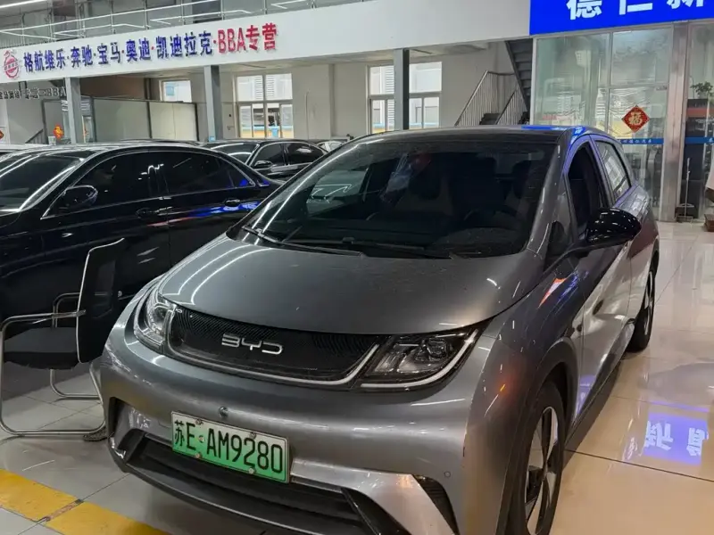 BYD Dolphin