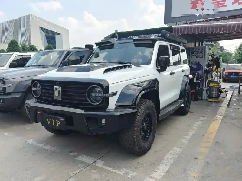 Tank 300