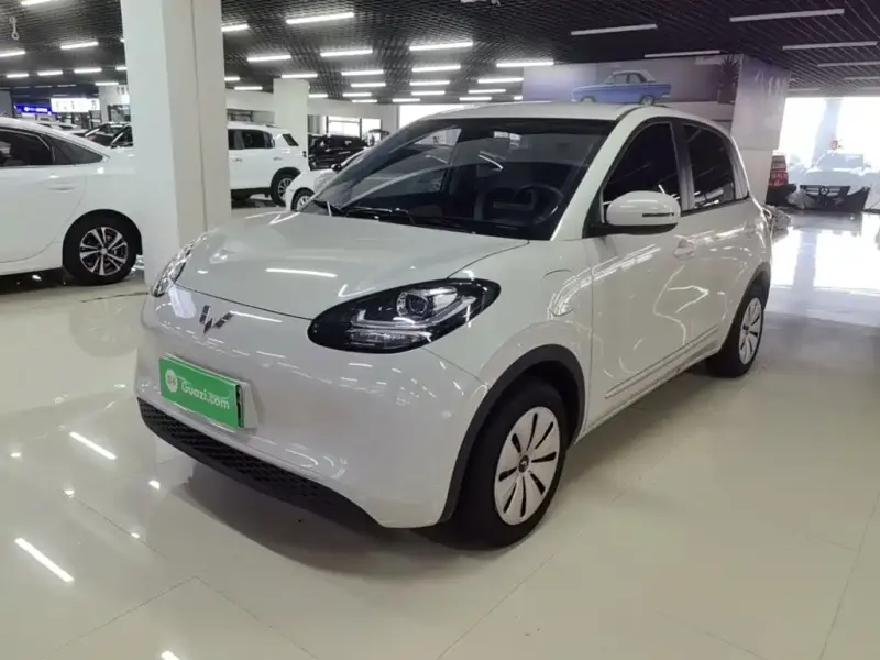 Wuling Bingo