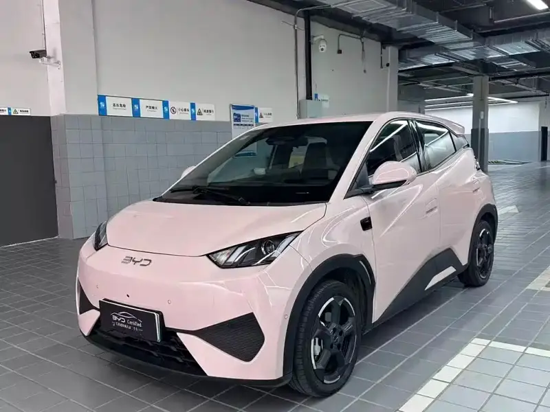BYD Seagull