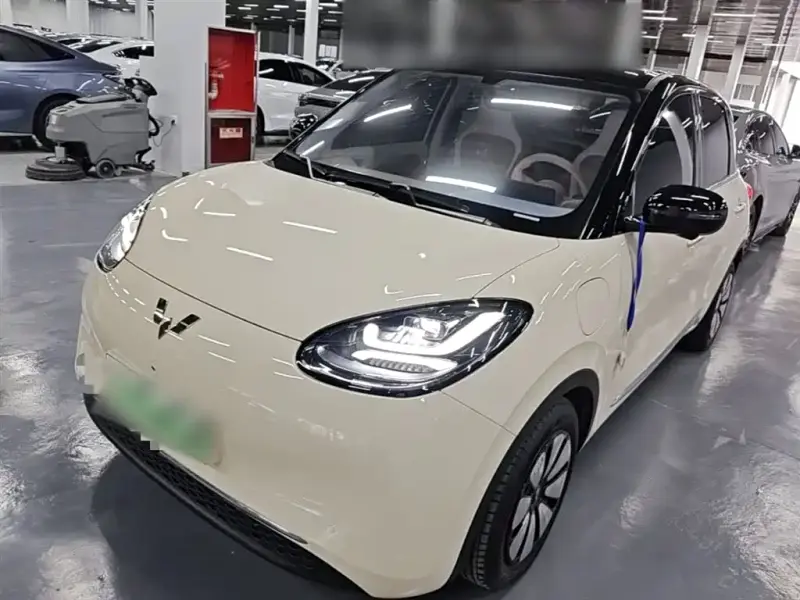 Wuling Bingo