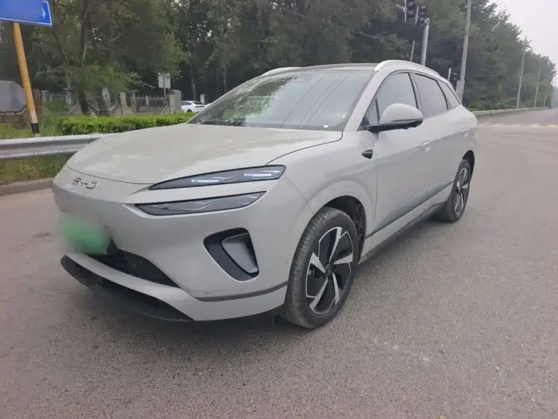 BYD Sea Lion 06