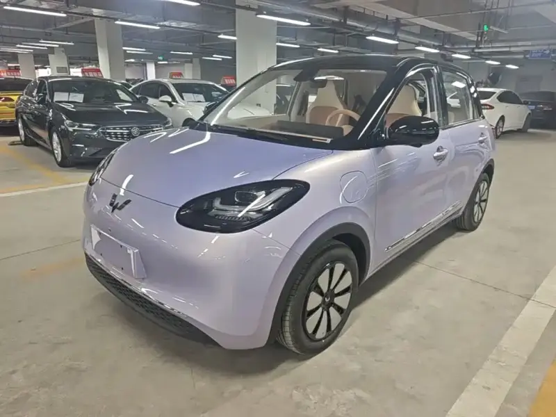 Wuling Bingo