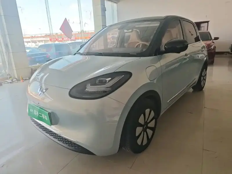 Wuling Bingo