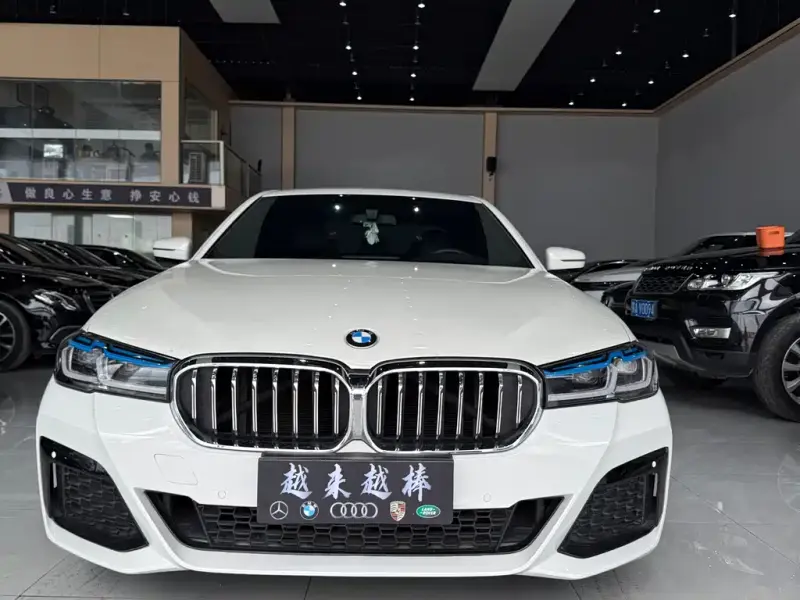 BMW 5 Series (Import)