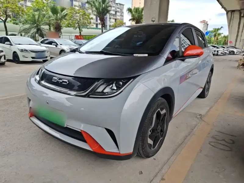 BYD Dolphin