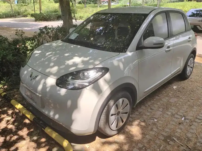 Wuling Bingo