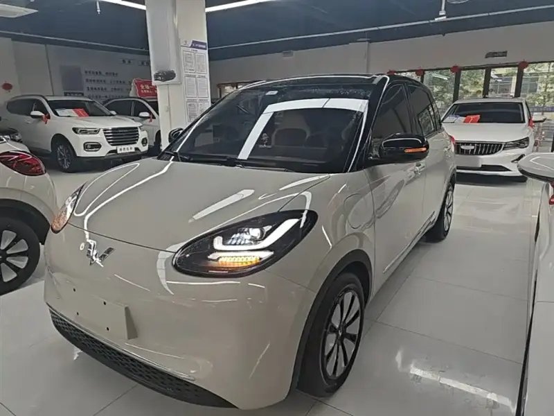 Wuling Bingo