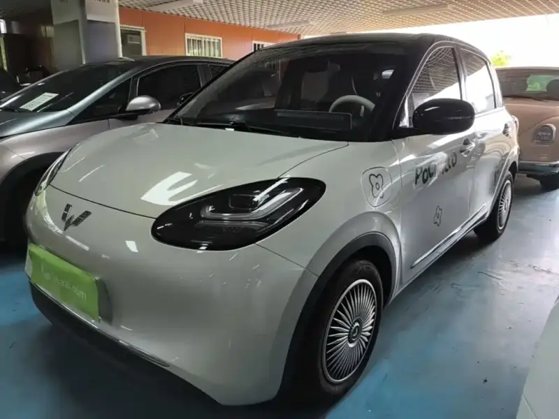 Wuling Bingo