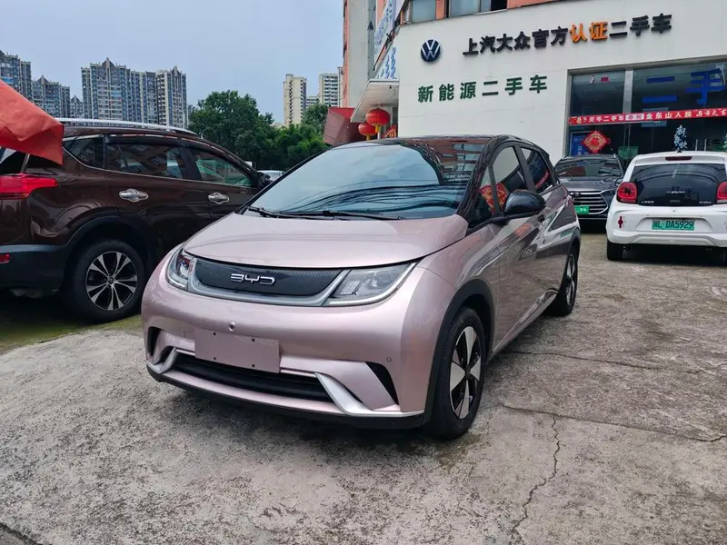 BYD Dolphin