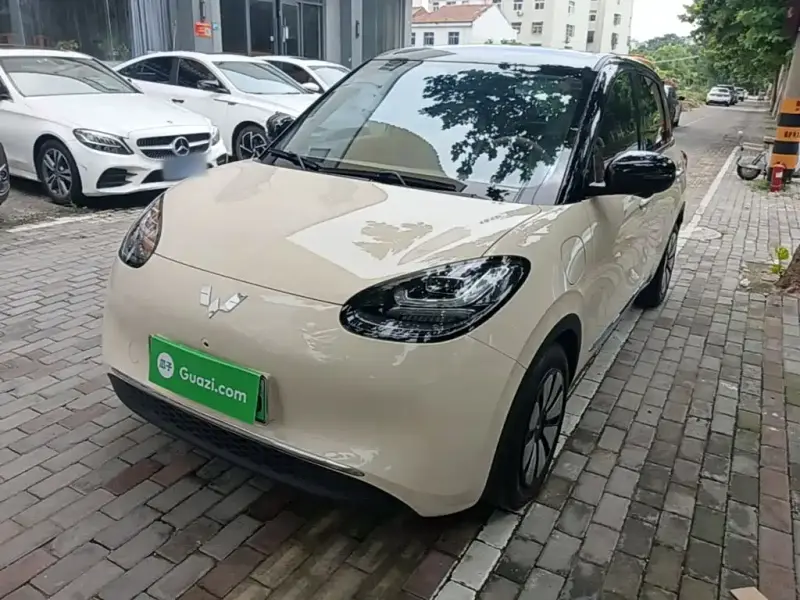 Wuling Bingo