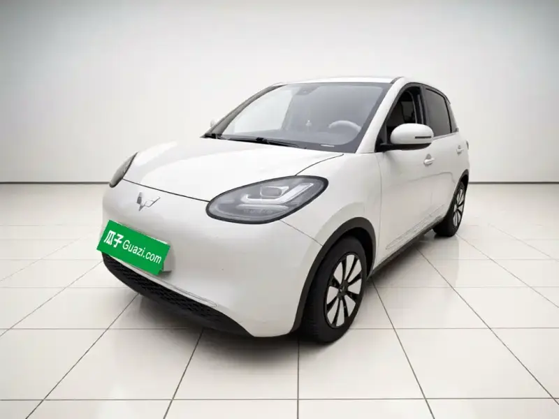 Wuling Bingo