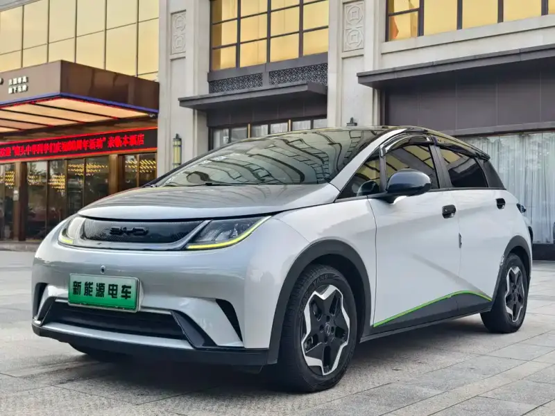 BYD Dolphin