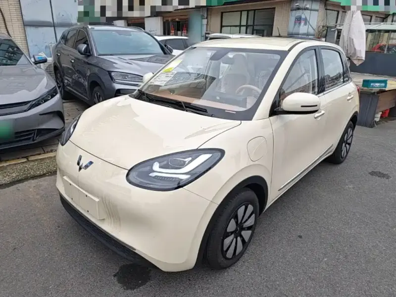 Wuling Bingo