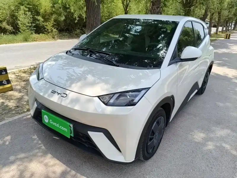 BYD Seagull