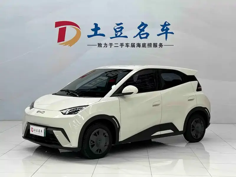 BYD Seagull