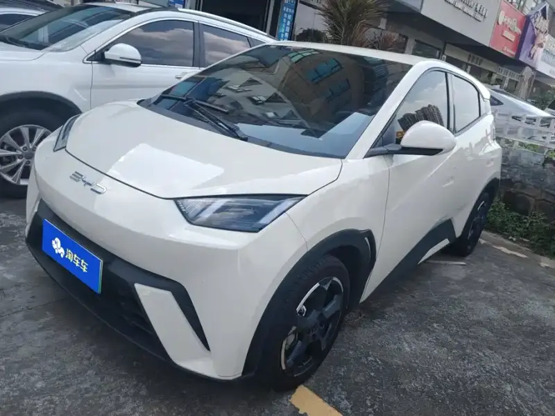 BYD Seagull
