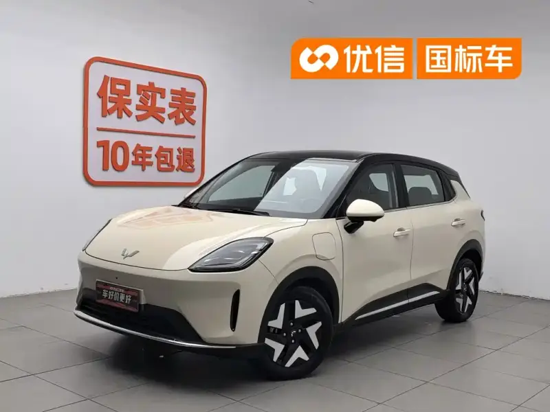 Wuling Bingo S