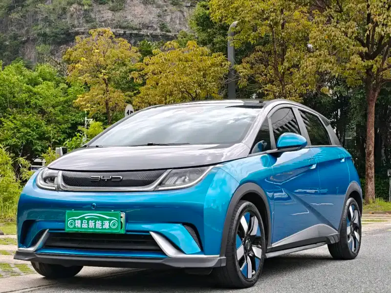 BYD Dolphin