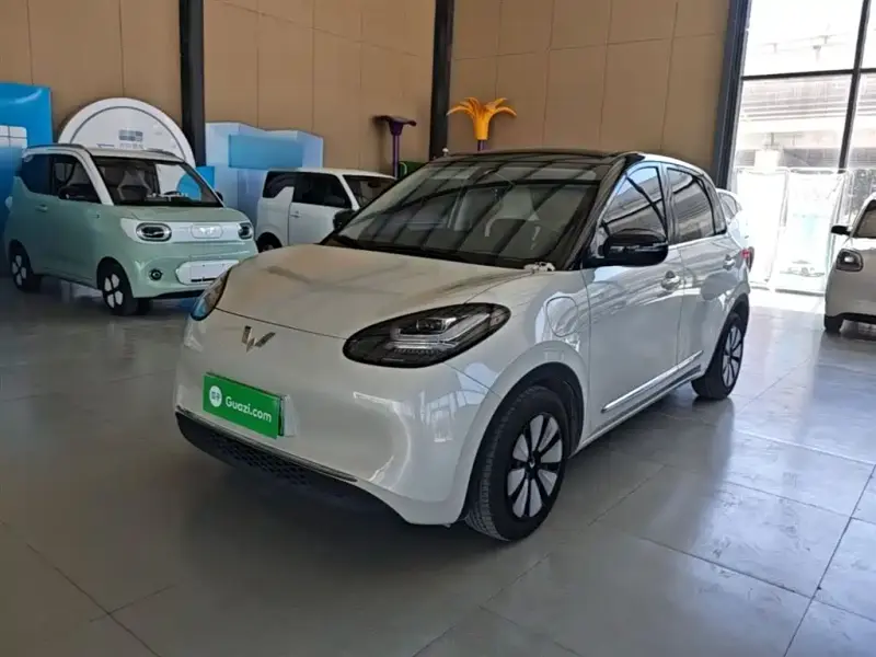 Wuling Bingo