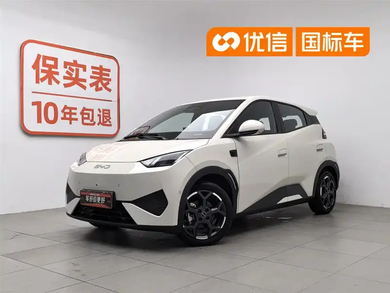 BYD Seagull