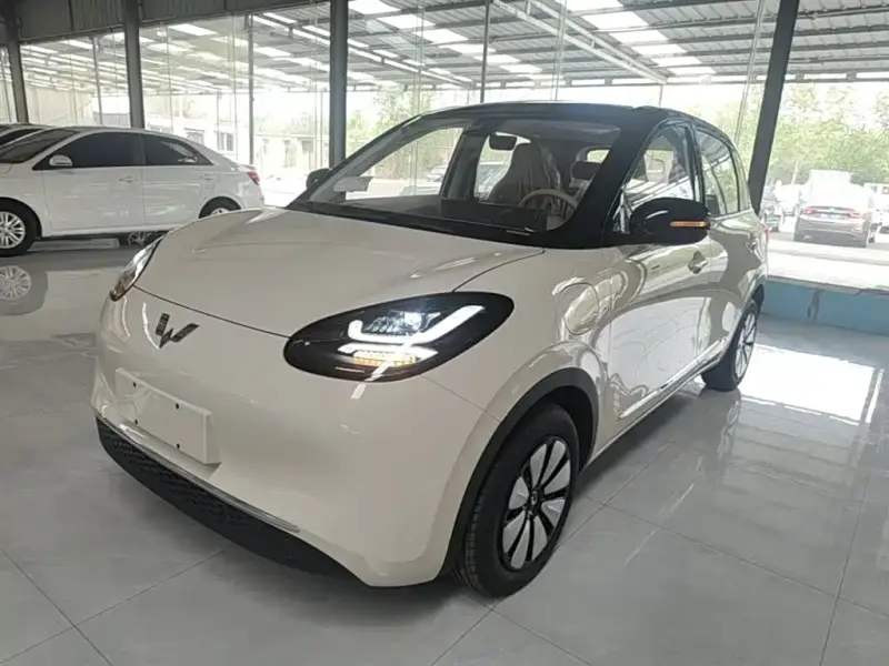 Wuling Bingo