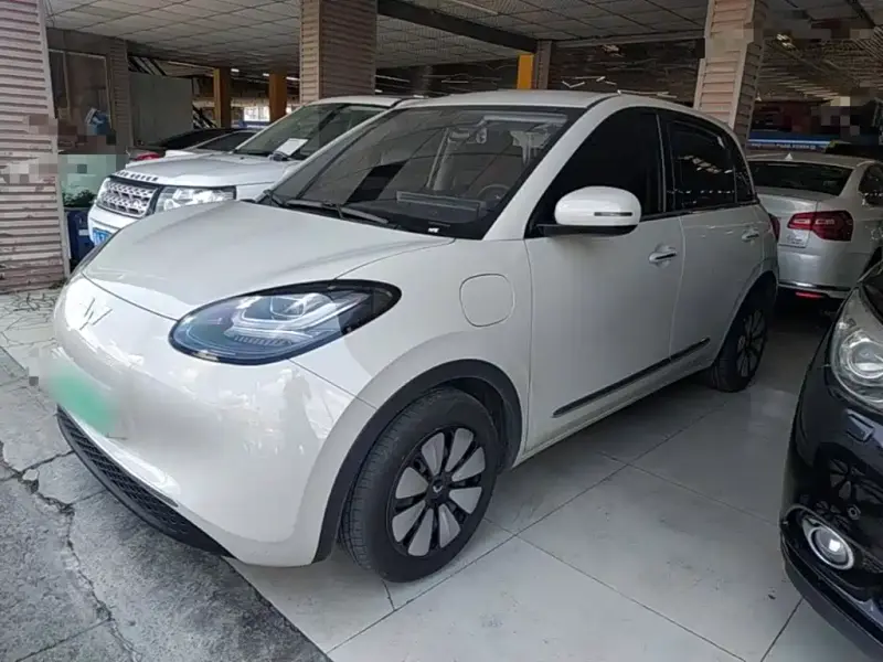 Wuling Bingo
