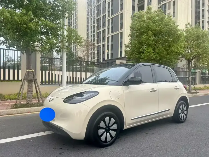 Wuling Bingo