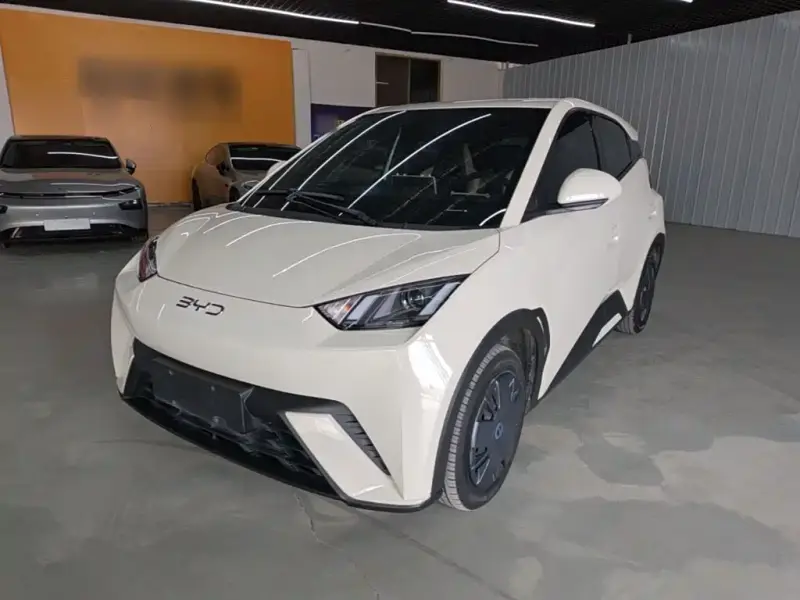 BYD Seagull