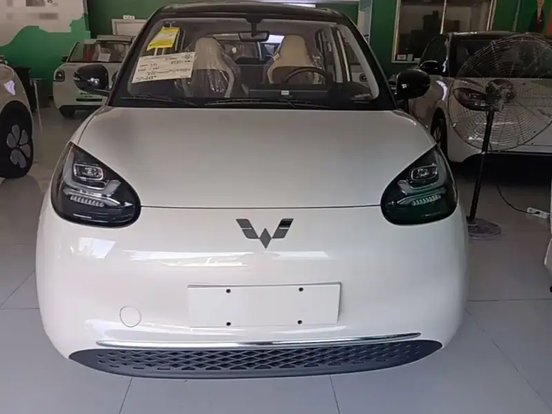 Wuling Bingo