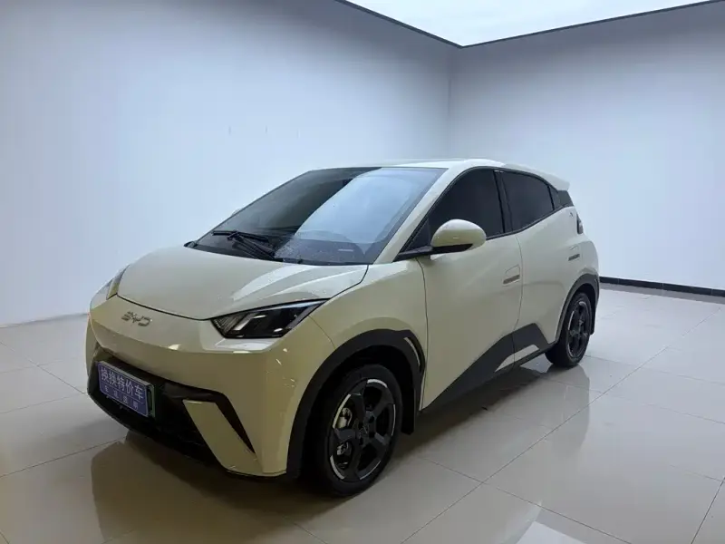 BYD Seagull