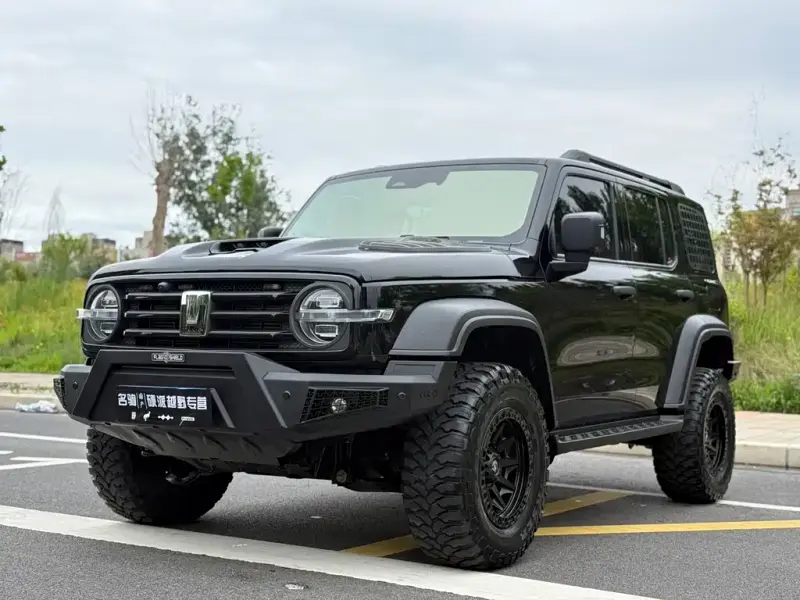 Tank 300