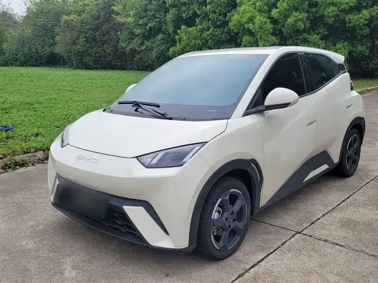 BYD Seagull