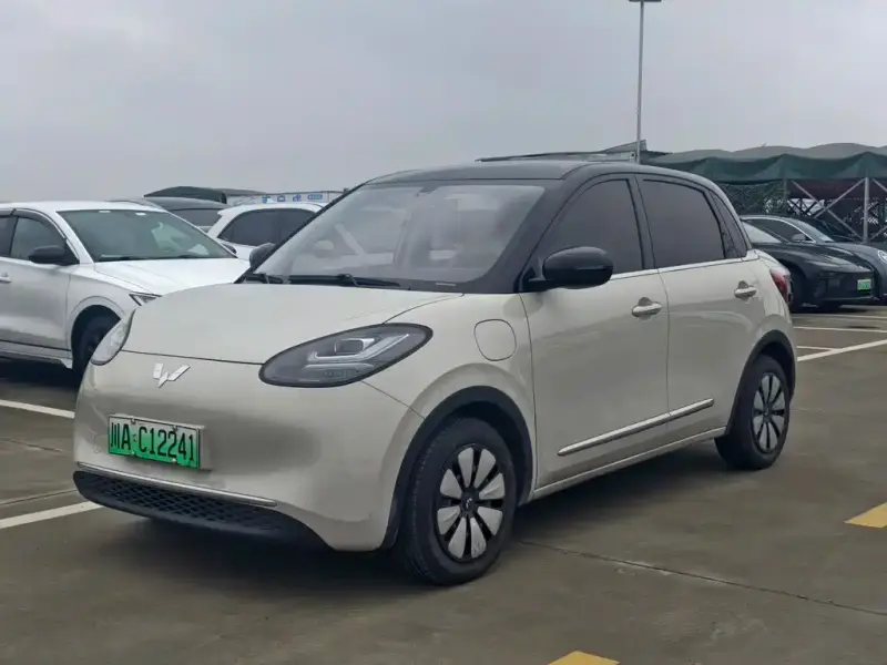 Wuling Bingo