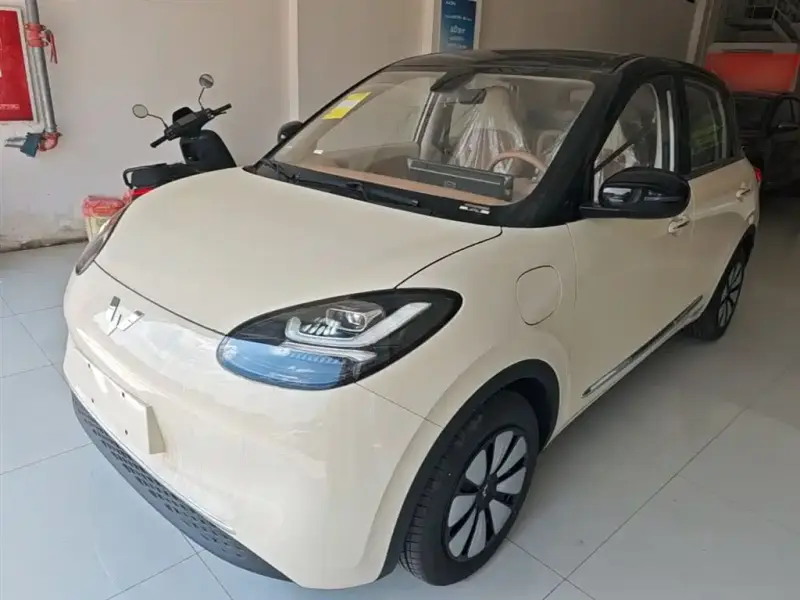 Wuling Bingo