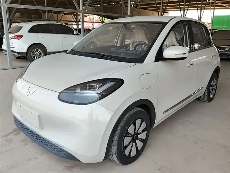 Wuling Bingo