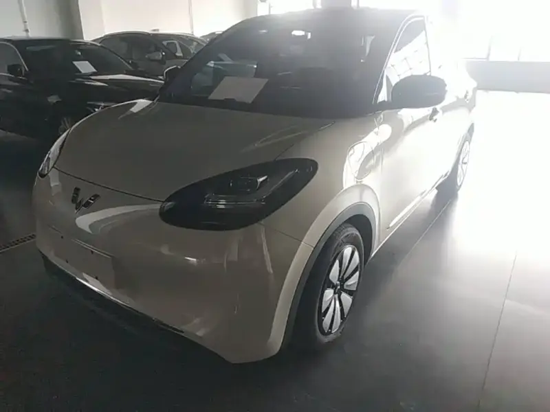 Wuling Bingo