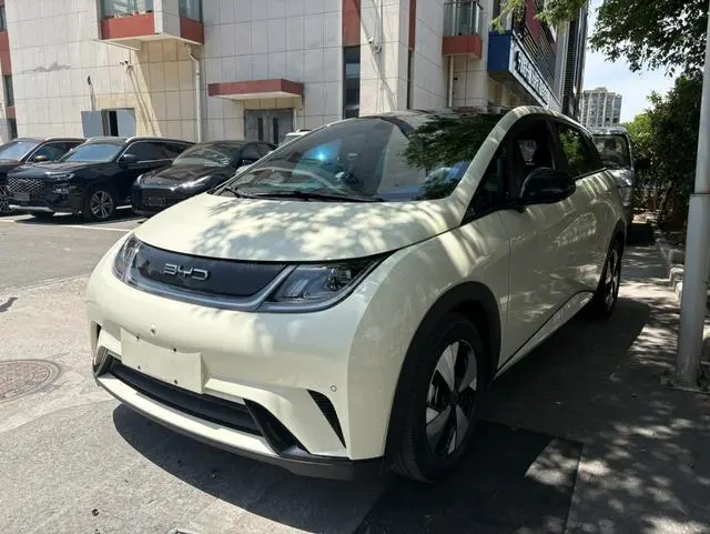 BYD Dolphin