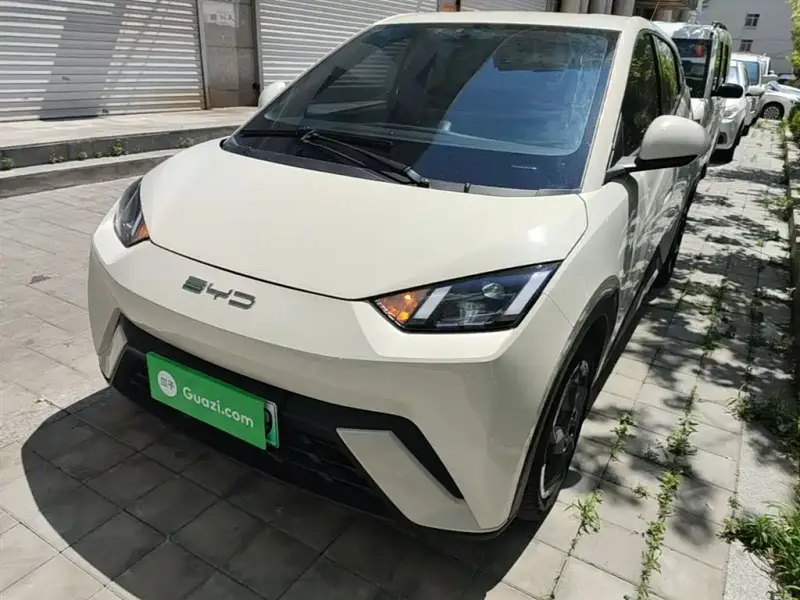 BYD Seagull