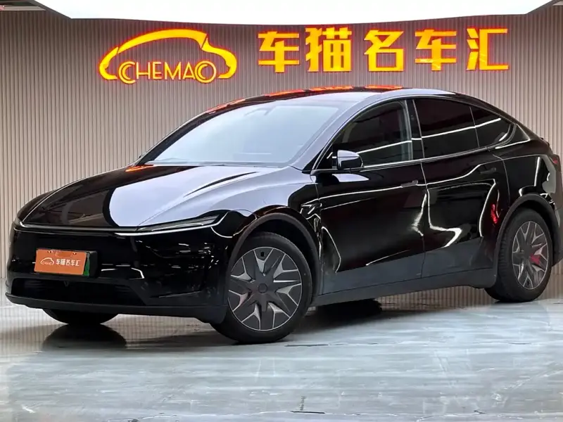 Tesla Model Y L