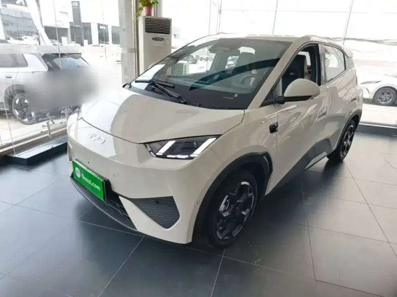 BYD Seagull