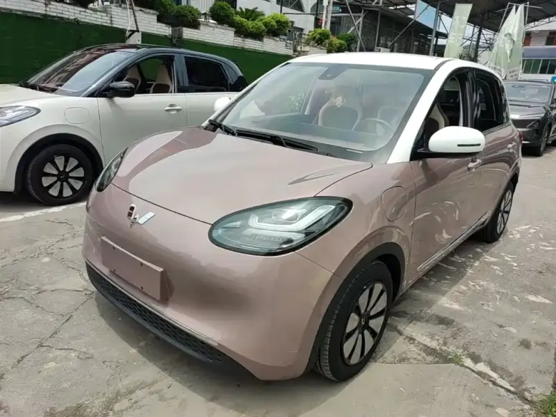 Wuling Bingo