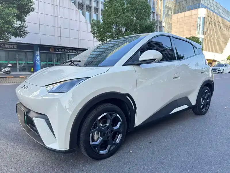 BYD Seagull