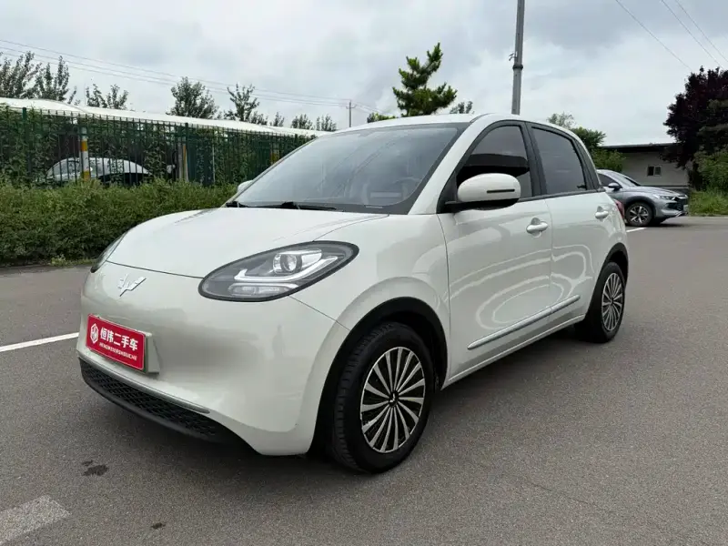 Wuling Bingo