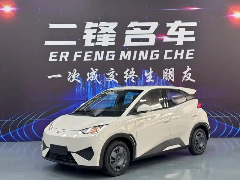 BYD Seagull