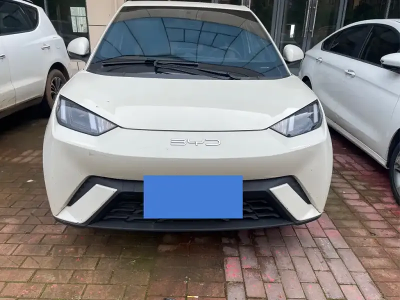 BYD Seagull
