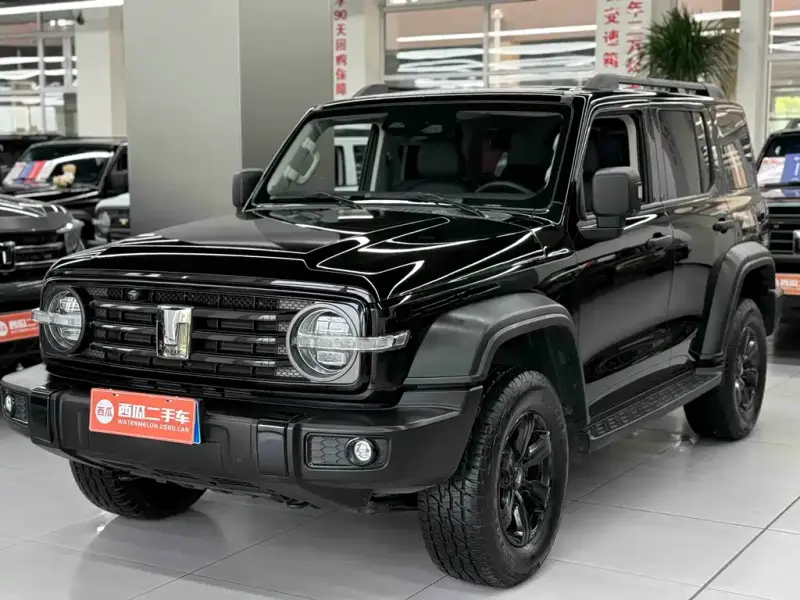 Tank 300